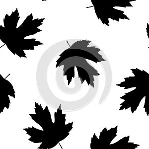 Seamless pattern silhouettes autumn maple leaves black color vector illustration